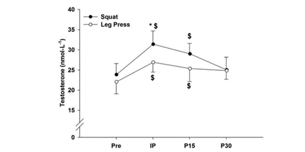 Grafico testosterone